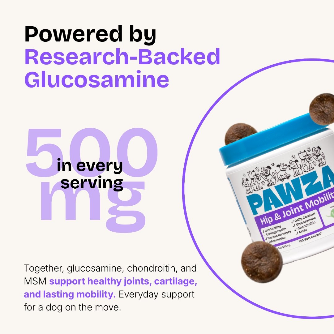Powered by research-backed glucosamine, 500mg per serving
